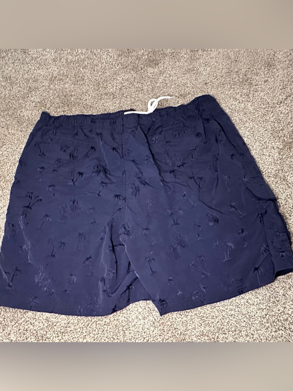 Big Dogs Navy and White Mesh-Lined Swim Trunks